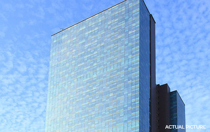 The Ruby - Actual Picture 1